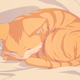 a gif of a sleeping cat